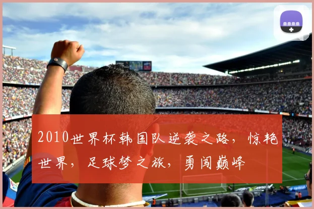 2010世界杯韩国队逆袭之路，惊艳世界，足球梦之旅，勇闯巅峰