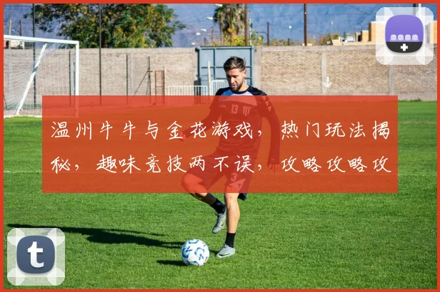 温州牛牛与金花游戏，热门玩法揭秘，趣味竞技两不误，攻略攻略攻略