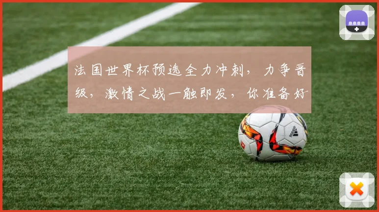 法国世界杯预选全力冲刺，力争晋级，激情之战一触即发，你准备好了吗
