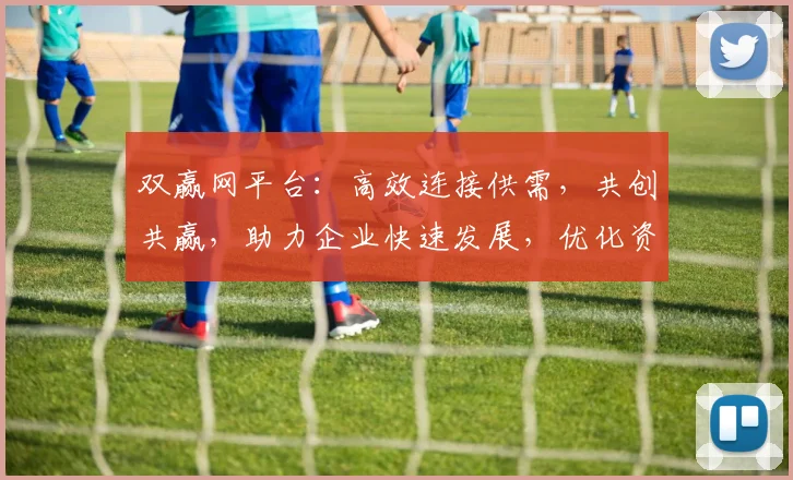 双赢网平台：高效连接供需，共创共赢，助力企业快速发展，优化资源整合。