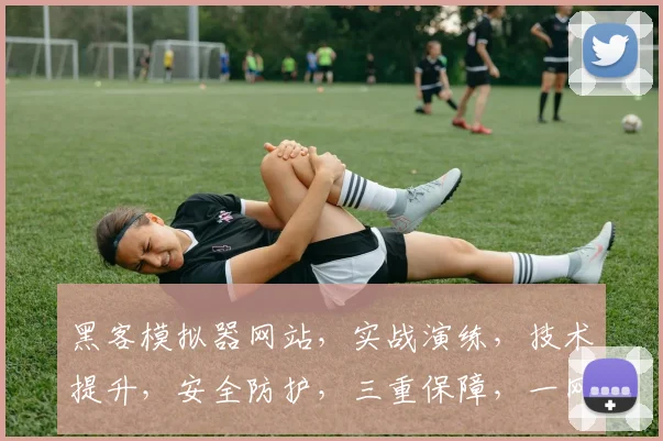 黑客模拟器网站，实战演练，技术提升，安全防护，三重保障，一网打尽