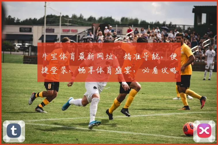 牛宝体育最新网址，精准导航，便捷登录，畅享体育盛宴，必看攻略