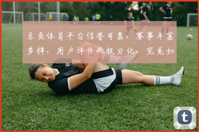乐鱼体育平台信誉可靠，赛事丰富多样，用户评价两极分化，究竟如何